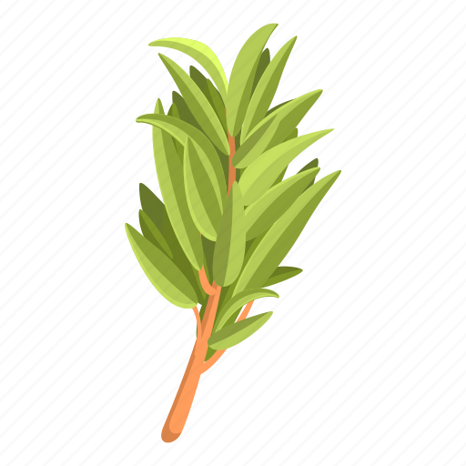 اویشن