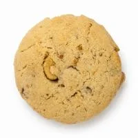کوکی گردویی