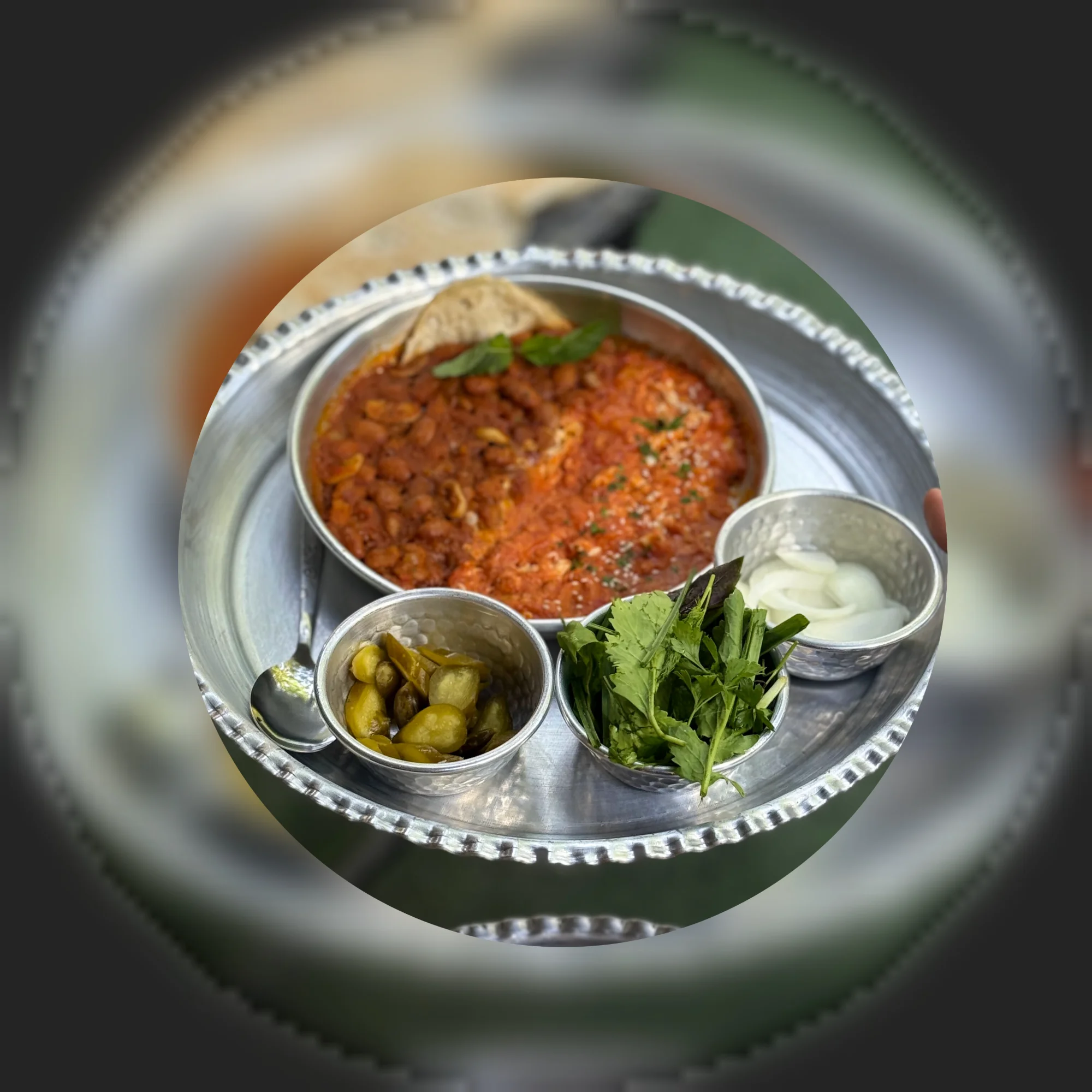 املت شاپوری 